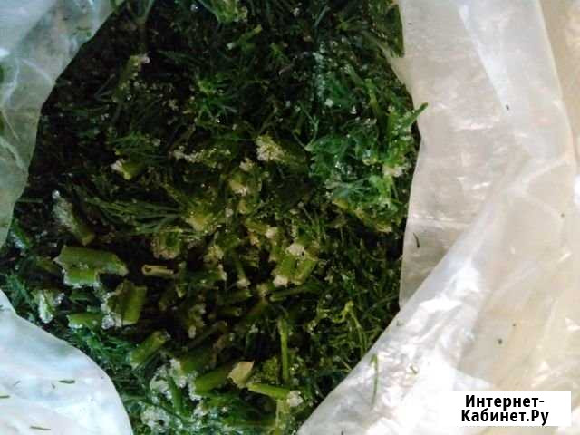 Укроп дрмашний замороженный Томск - изображение 1