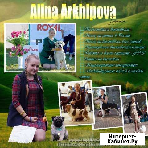 Дрессировка, выгул, передержка, услуги хендлера Иваново - изображение 1