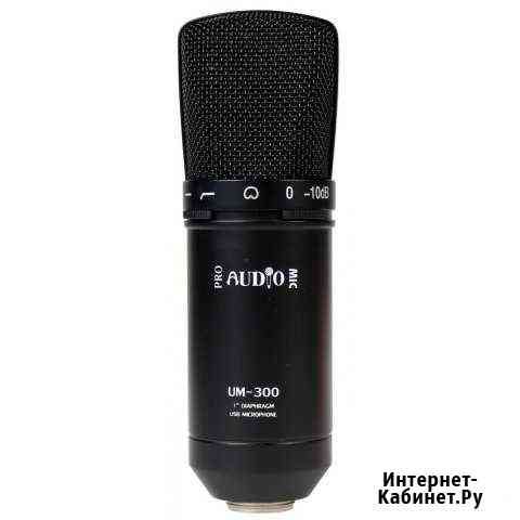Студийный USB микрофон UM-300 Ставрополь