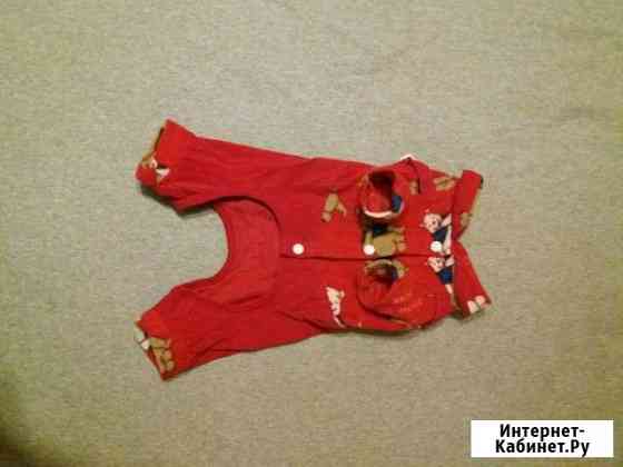 Новый Комбинезон на собачку Кемерово