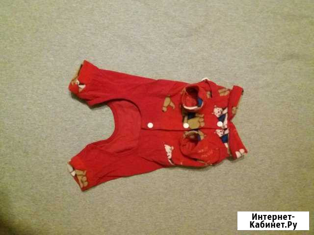 Новый Комбинезон на собачку Кемерово - изображение 1