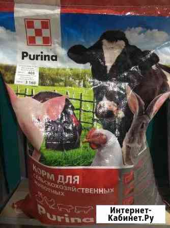 Purina концентрат для бройлеров 10.5 40 кг Курсавка