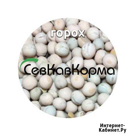 Горох 30 кг Курсавка - изображение 1