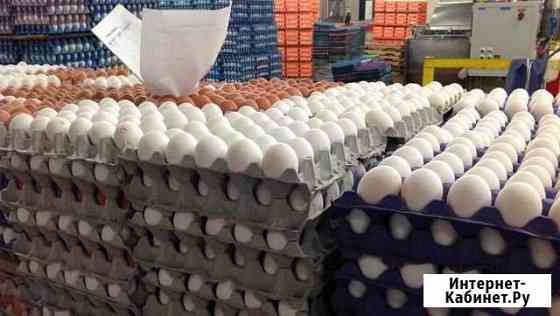 Яйцо куриное оптом Казань