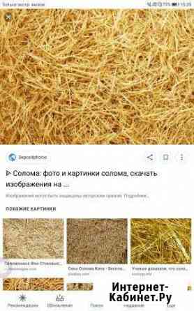 Солома Воткинск