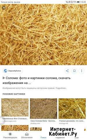 Солома Воткинск - изображение 1