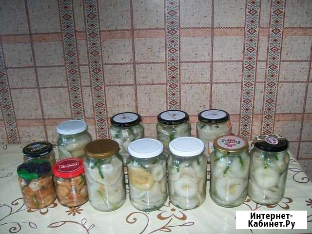 Грузки, волнушки солёные Красновишерск - изображение 1