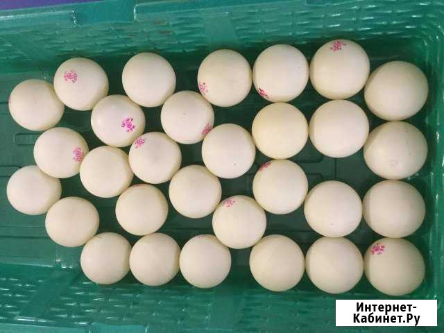 Мячи и шары для настольного тенниса Казань - изображение 1