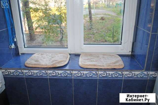 Кошачьи коврики 32х39см Чебоксары - изображение 1