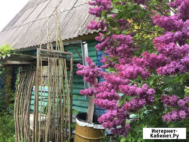 Дача 20 кв.м. на участке 11 сот. Псков - изображение 1