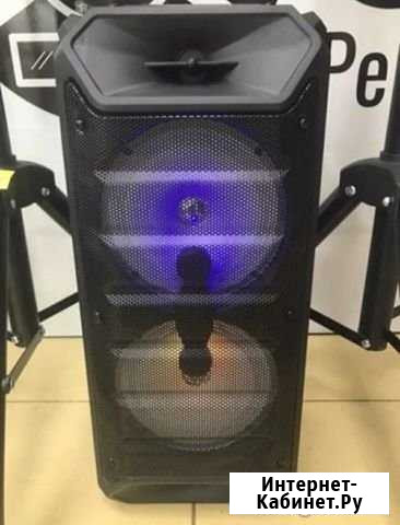 Акустическая колонка мощная 65 см с Микрофоном Брянск - изображение 1
