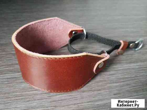 Ошейник селёдка для басенджи Пермь