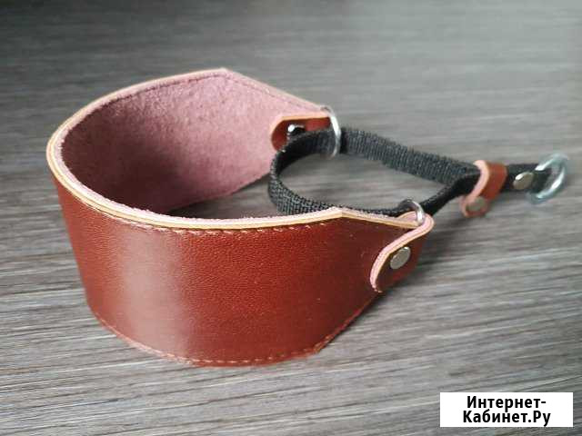 Ошейник селёдка для басенджи Пермь - изображение 1