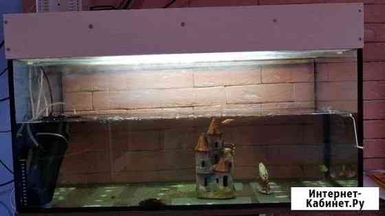 Аквариум Ижевск