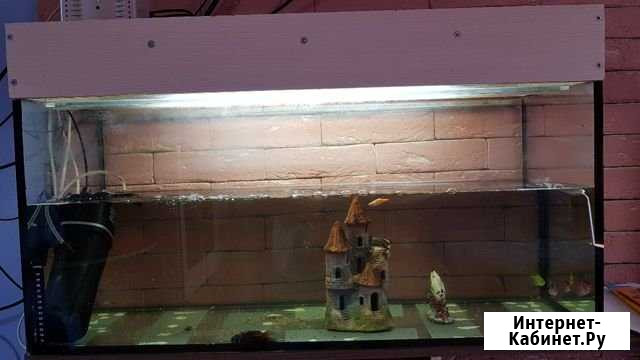 Аквариум Ижевск - изображение 1