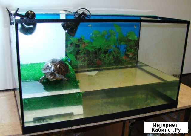 Террариумы, акватеррариумы Нижний Новгород - изображение 1