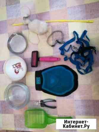 Вещи для ухода за кошкой Москва