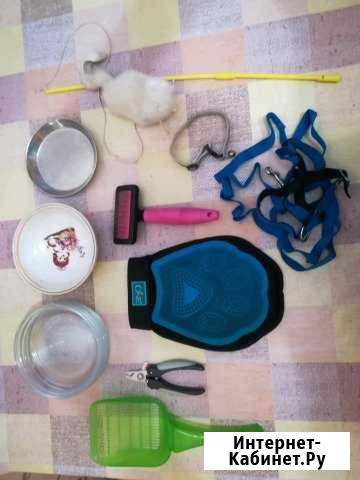 Вещи для ухода за кошкой Москва - изображение 1