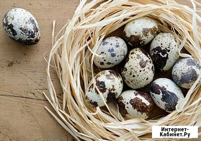 Перепелиные яйца Лобня - изображение 1