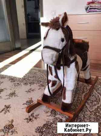 Качалка Лошадка Абакан
