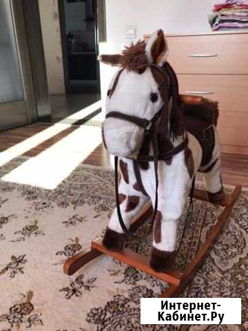 Качалка Лошадка Абакан - изображение 1