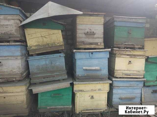 Улей Разумное - изображение 1