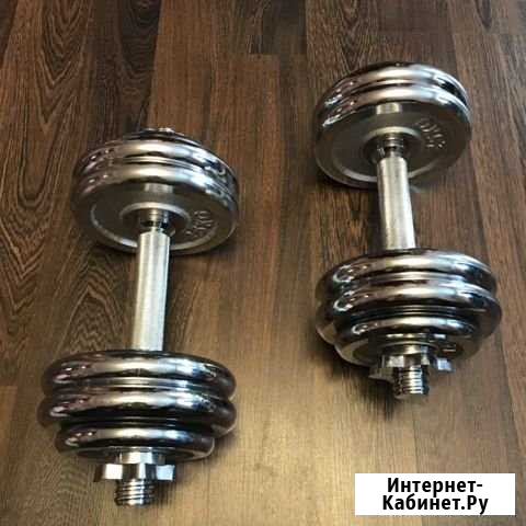 Гантели хром разборные Выборг - изображение 1