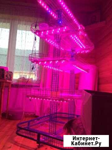 Светодиодный светильник для рассады и комнатных ра Киров - изображение 1