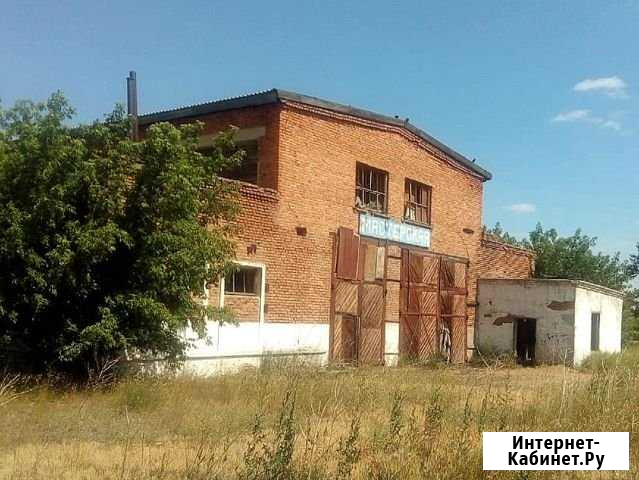 Помещение свободного назначения, 1820.7 кв.м. Кулунда - изображение 1