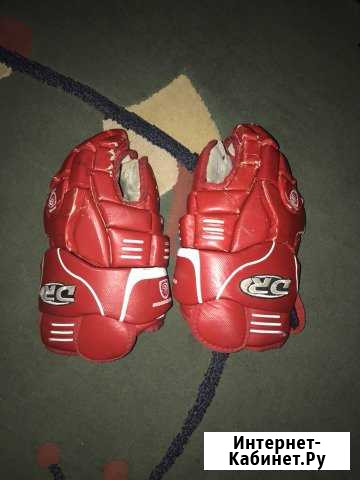 Краги Оренбург - изображение 1