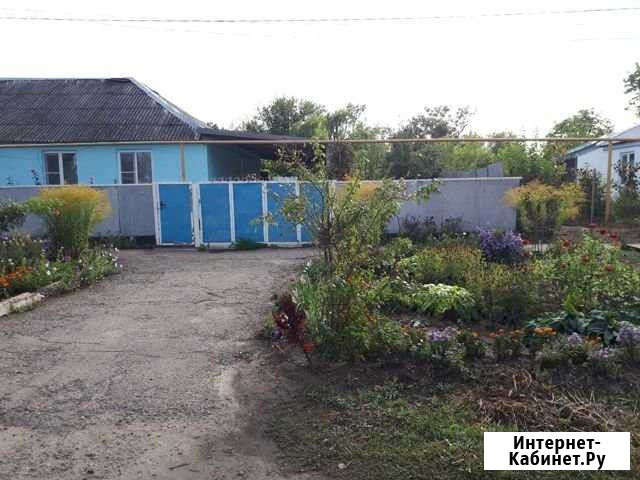 Дом 80 кв.м. на участке 10 сот. Новоселицкое - изображение 1