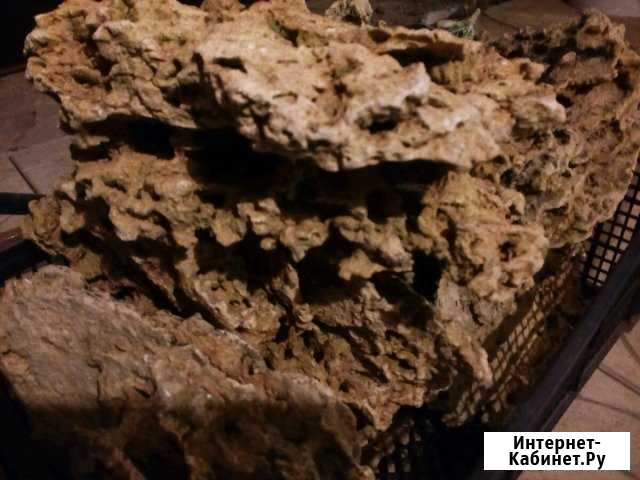 Песчаник в аквариум Новошахтинск - изображение 1
