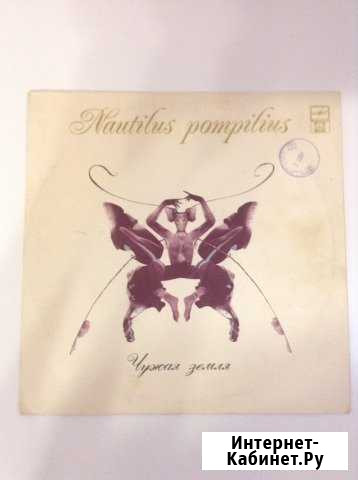 Nautilus pompilius Омск - изображение 1