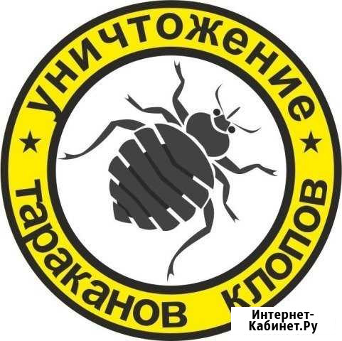 Профессиональное уничтожение насекомых и грызунов Сургут - изображение 1