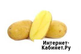 Продам картофель на еду Назарово - изображение 1