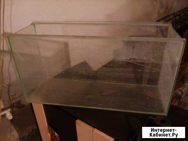 Аквариум Новошахтинск - изображение 1