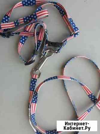 Шлейка - поводок Барнаул