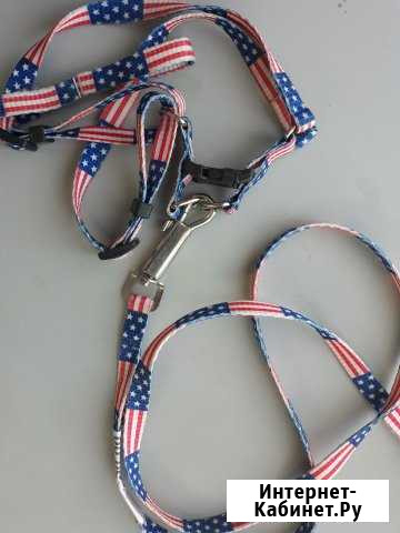 Шлейка - поводок Барнаул - изображение 1