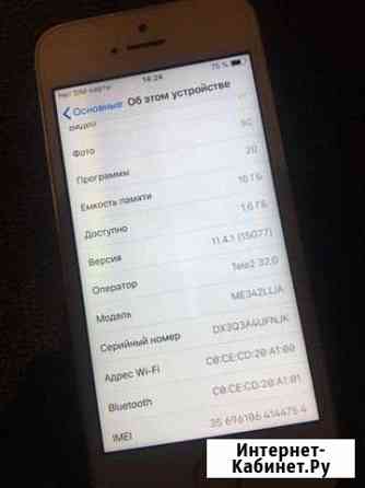 iPhone 5s Коломна