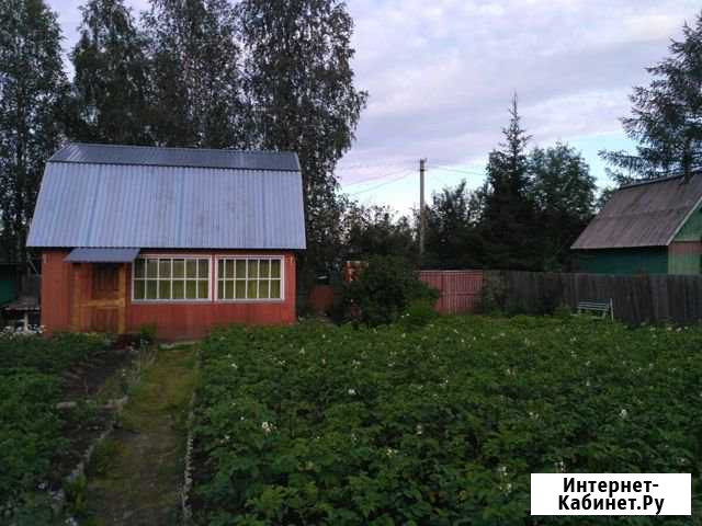 Дача 36 кв.м. на участке 6 сот. Сосногорск - изображение 1