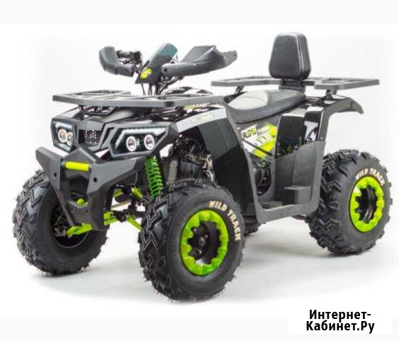 Квадроцикл Wild Track 200 Ростов-на-Дону - изображение 1