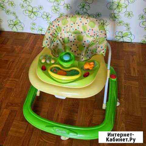 Ходунки Capella (прокат) Белгород