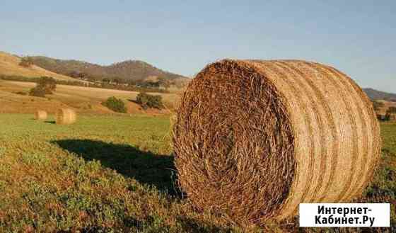 Сено Барнаул