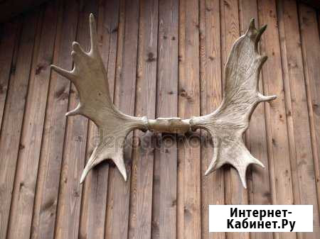 Рога Ухта - изображение 1