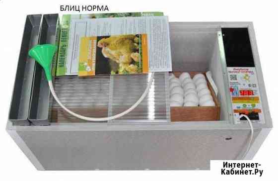 Инкубаторы Блиц от производителя Самара