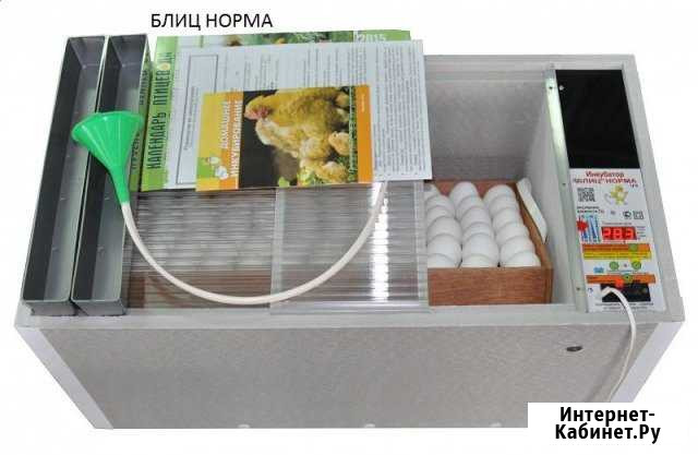 Инкубаторы Блиц от производителя Самара - изображение 1