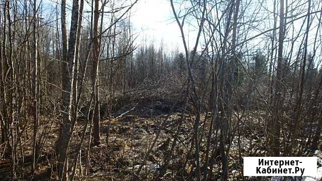 Участок 15 сот. (ИЖС) Великий Новгород - изображение 1