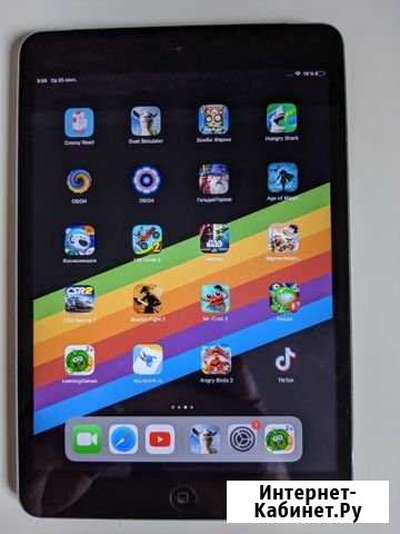 iPad mini 2 Георгиевск - изображение 1