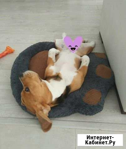 Вязка Ярославль - изображение 1