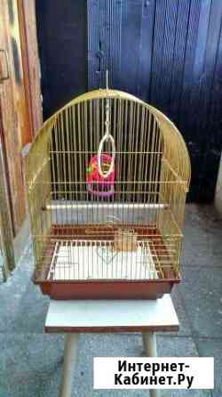 Клетка Екатеринбург